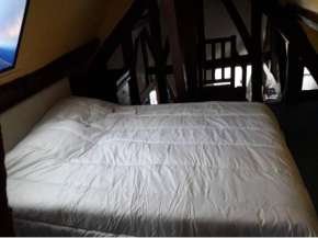 Loft St Antoine